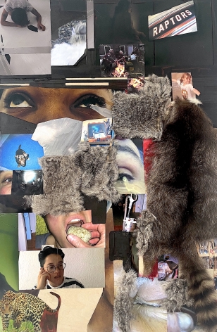 Dani (Leventhal) ReStack  Into Vapor When Heated, 2021  Photographs, video screenshots from "Future From Inside" by Dani + Sheilah ReStack, raccoon hide, opossum hide, fake fur, acrylic, and colored pencil on panel  101.6 x 76.2 cm / 40 x 30 in