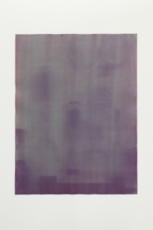 Erin Woodbrey Four Weeks (Eighteen See Through Containers Made Out of Plastic and Glass), 2020, Shadowgram Anthotype, cabbage and beetroot on paper, 60.9 x 45.7 cm / 24 x 18 in