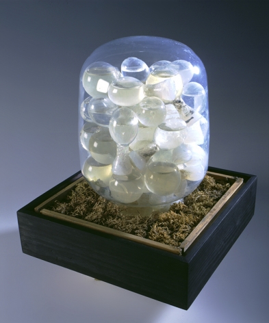 Peter Hutchinson  Eutrophication, 1987  28,5 x 24 x 24 cm together with a specially made wooden pedestal 100 x 66 x 66 cm